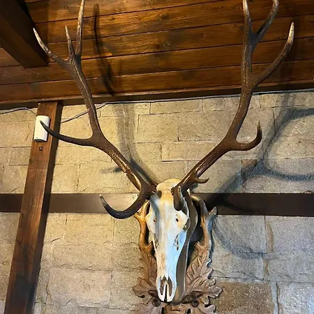 семеен звезда