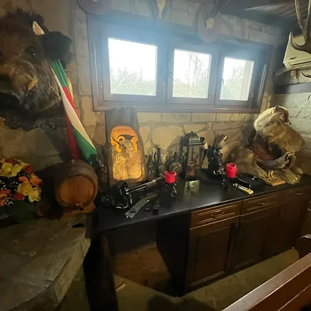 семеен звезда