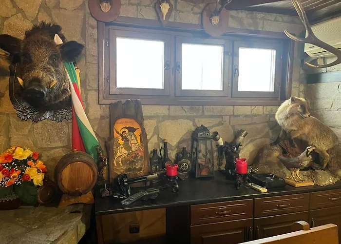 семеен звезда Sudievo