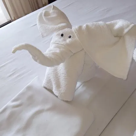 семеен звезда Otel Sudievo