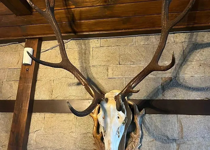 семеен звезда