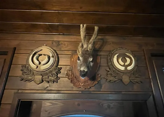 семеен звезда Hotel 3*