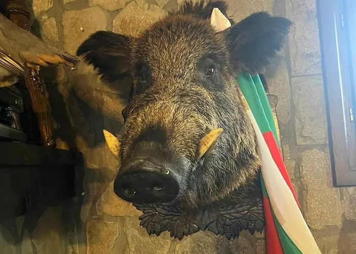 семеен звезда 3*