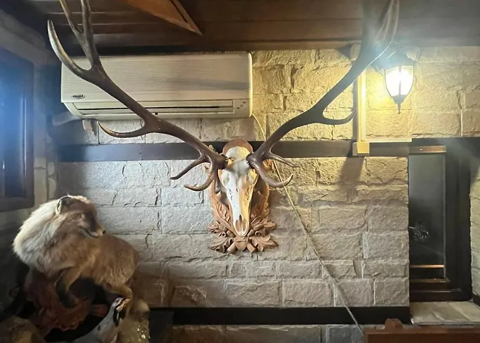 семеен звезда Sudievo