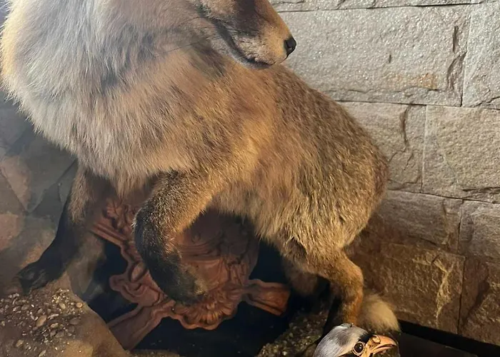 семеен звезда 3* Sudievo